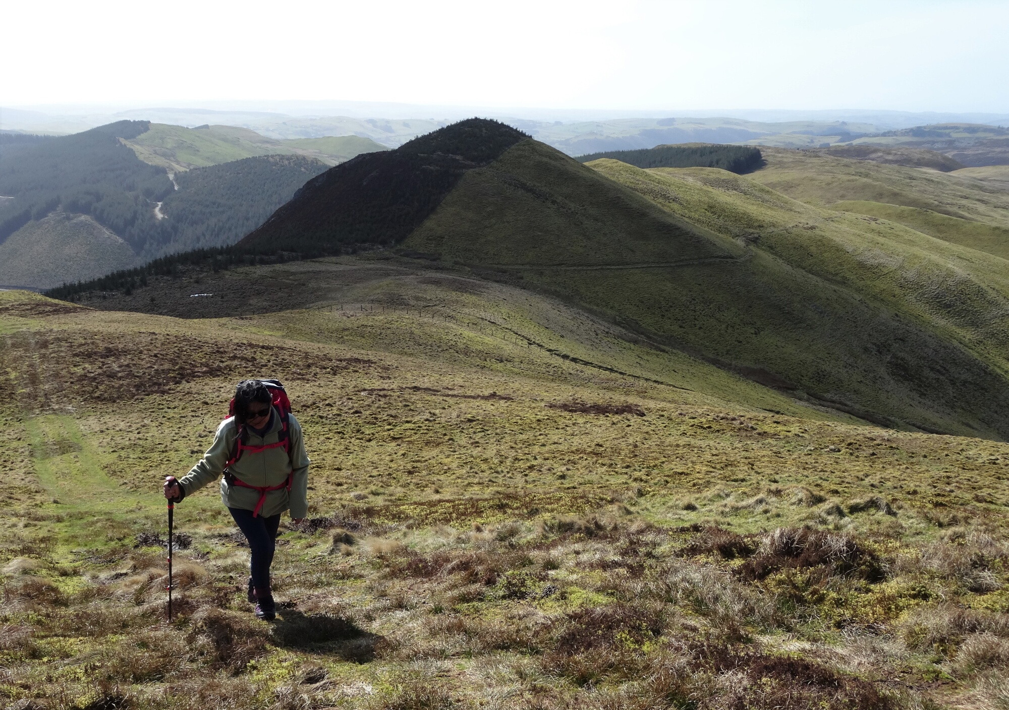 RachelSeabrook.net | Wild Walking | Ponterwyd and Pen Dihewyd | pic29